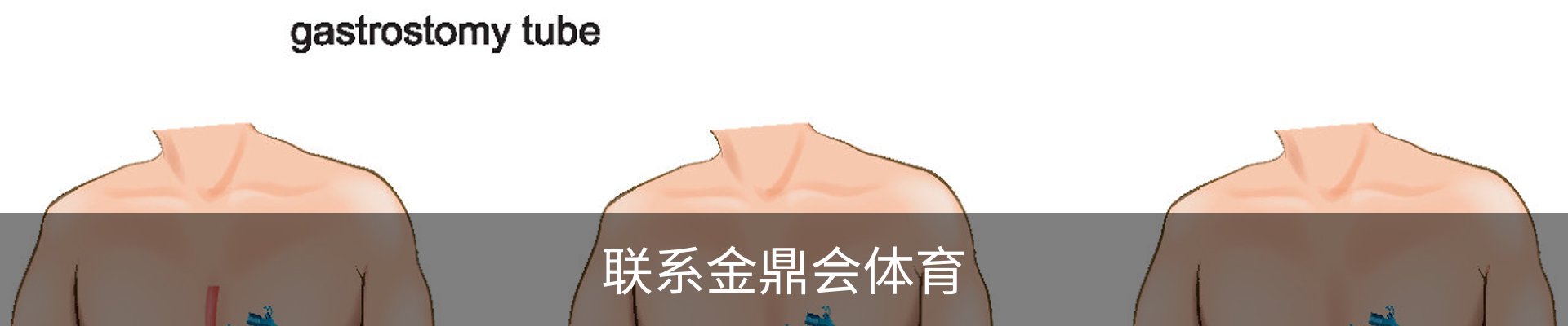 联系金鼎会体育